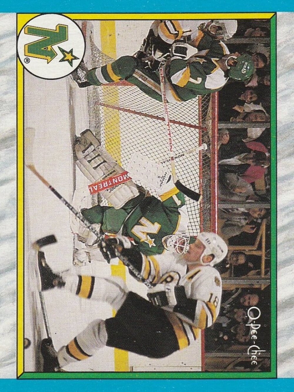 Minnesota North Stars Final Standings 1988-89